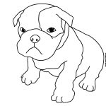 Free Coloring Pages Of Eyed Animals | Sewing | Dog Coloring Page   Colouring Pages Dogs Free Printable