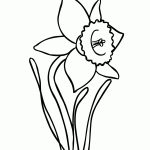 Free Drawings Of Daffodils, Download Free Clip Art, Free Clip Art On   Free Printable Pictures Of Daffodils