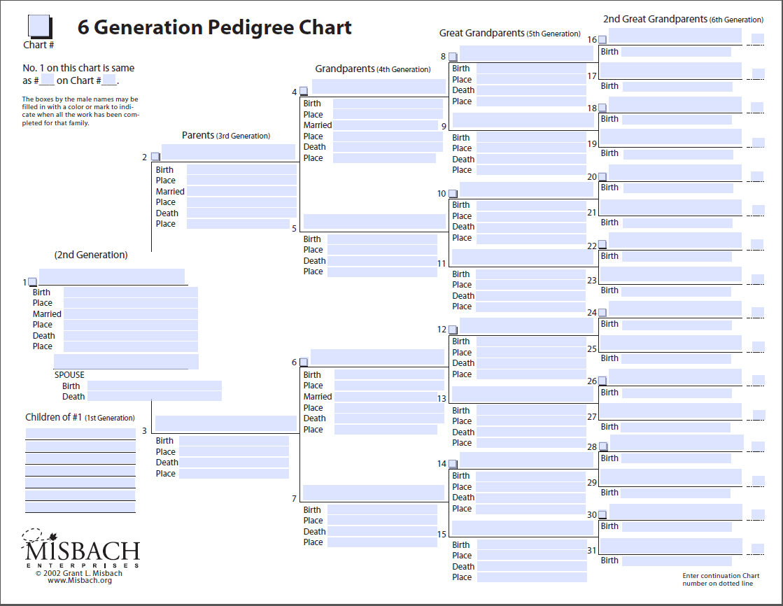 Free Family Tree Templates | Printable Versions That You Use Can Use! - Free Printable Family Tree Template 4 Generations