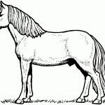 Free Horse Coloring Pages   Free Printable Horse Coloring Pages