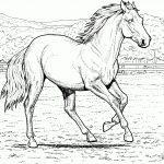 Free Horse Coloring Pages   Free Printable Horse Coloring Pages