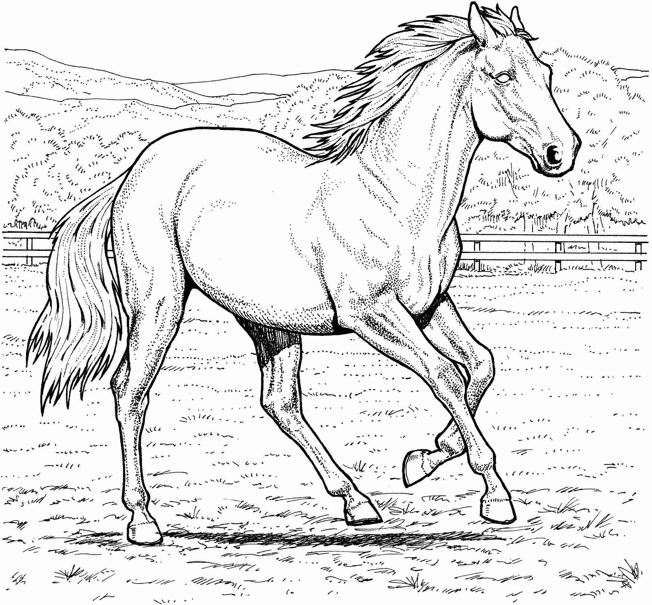 Free Horse Coloring Pages - Free Printable Horse Coloring Pages