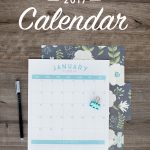 Free Printable 2017 Calendar   Free 2017 Printable