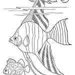 Free Printable Adult Coloring Page   Tropical Fish!   The Graphics Fairy   Free Printable Fish Coloring Pages