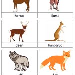Free Printable Animals Flash Cards | Free Printable For Learning   Free Printable Animal Cards