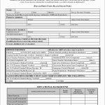 Free Printable Application For Employment Template Elegant 8 Best Of   Free Printable Application For Employment Template