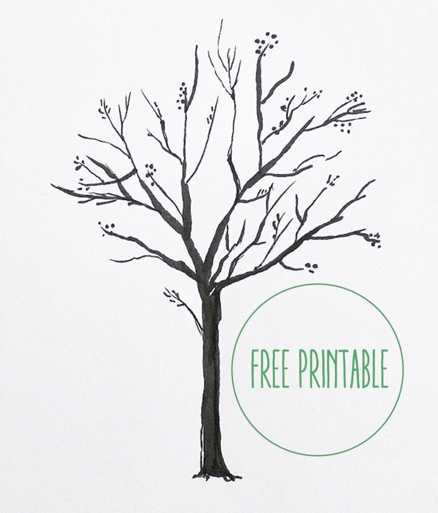 Free Printable! | Art Work | Blank Family Tree, Tree Templates, Free - Free Printable Family Tree