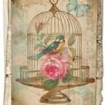 Free Printable Birdcage Art Card – Avalon Rose Design   Free Printable Vintage Pictures