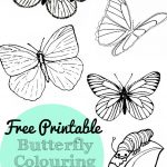 Free Printable Butterfly Colouring Pages   In The Playroom   Free Printable Butterfly Pictures
