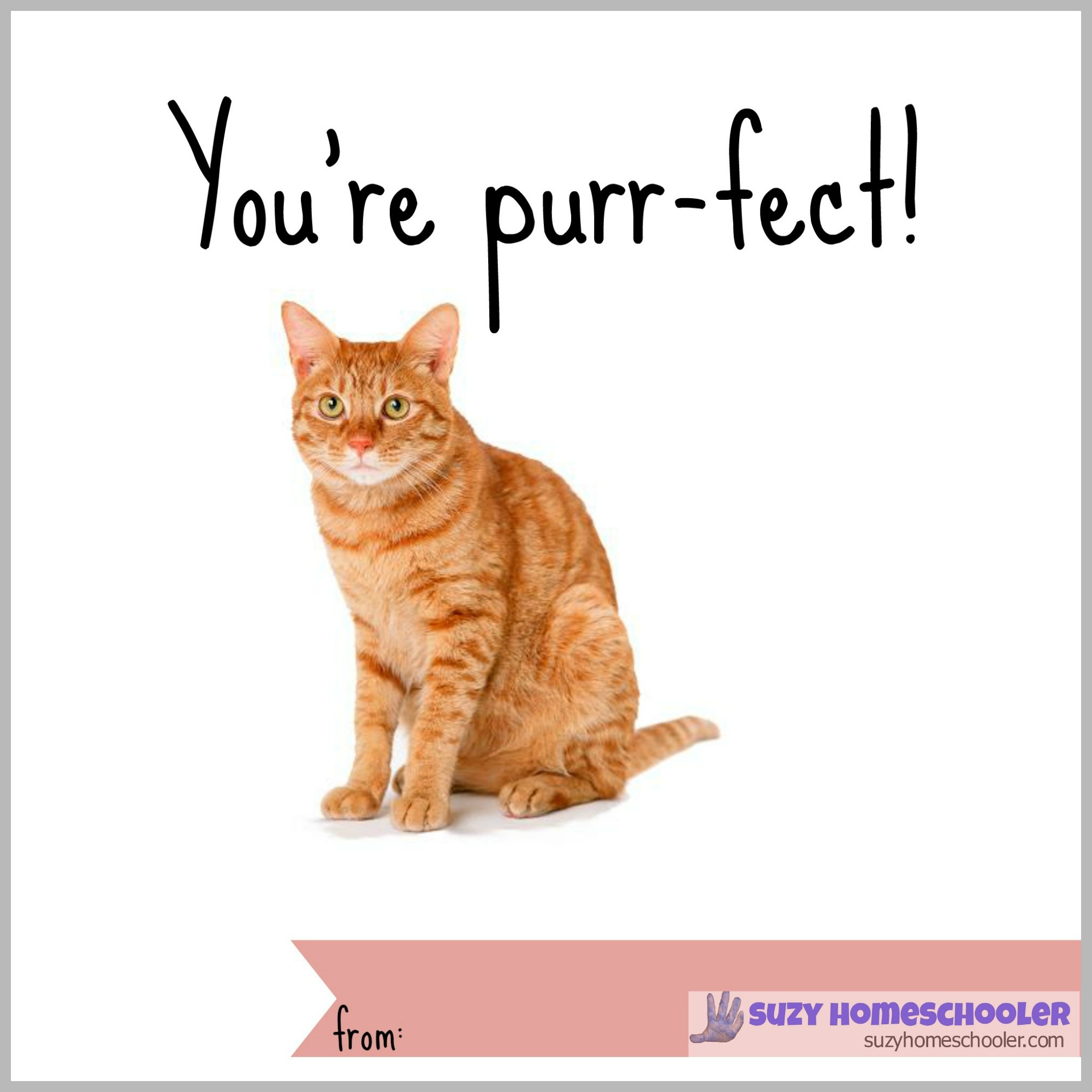 Free Printable Cat Fact Valentines | Suzy Homeschooler - Free Printable Cat Valentine Cards