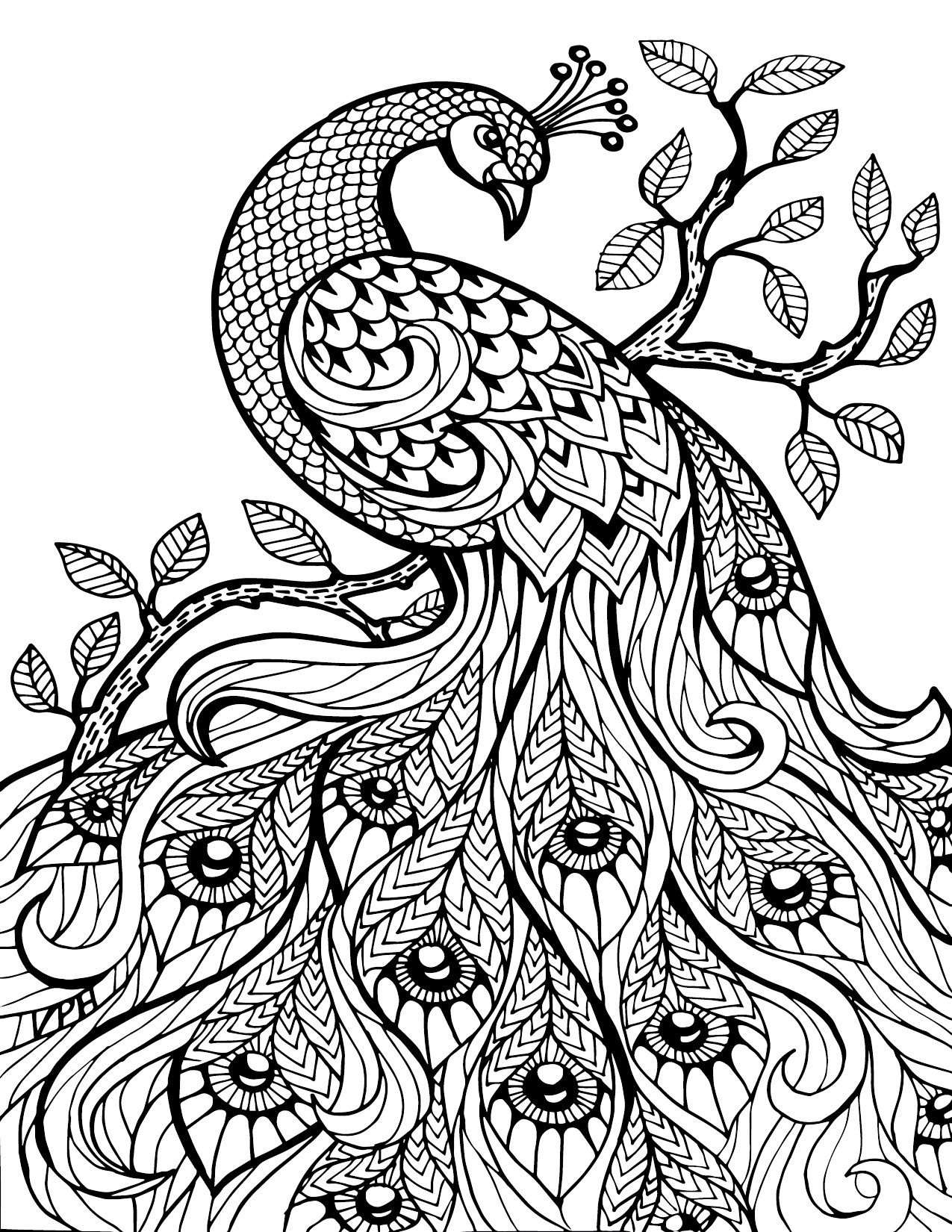 Free Printable Coloring Pages For Adults Only Image 36 Art - Free Printable Coloring Pages For Adults Only