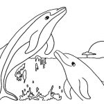 Free Printable Dolphin Coloring Pages For Kids | Coloring Pages   Dolphin Coloring Sheets Free Printable