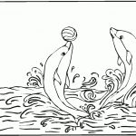 Free Printable Dolphin Coloring Pages For Kids   Dolphin Coloring Sheets Free Printable