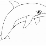 Free Printable Dolphin Coloring Pages For Kids | Dolphin | Dolphin   Dolphin Coloring Sheets Free Printable