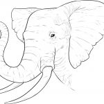 Free Printable Elephant Coloring Pages For Kids   Free Printable Elephant Images