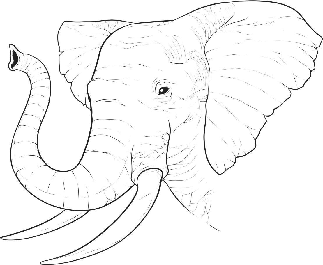 Free Printable Elephant Coloring Pages For Kids - Free Printable Elephant Images