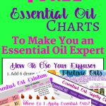 Free Printable Essential Oil Charts. Essential Oil Dilution Charts   Free Printable Aromatherapy Charts