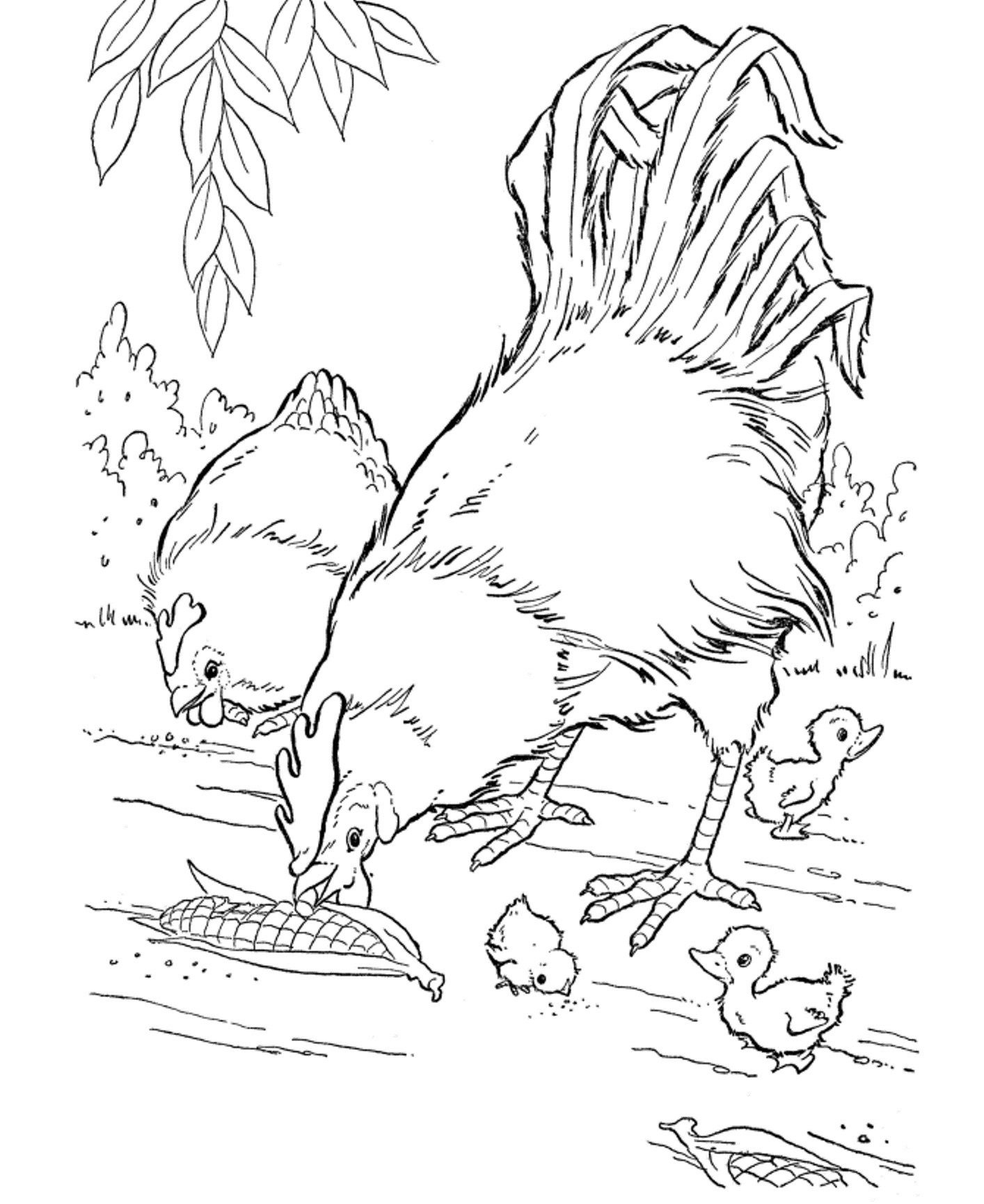Free Printable Farm Animal Coloring Pages For Kids | Adult Coloring - Free Printable Farm Animal Pictures