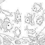Free Printable Fish Coloring Pages For Kids   Free Printable Fish Coloring Pages