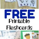 Free Printable Flashcards   Look! We're Learning!   Free Printable Flashcards For Toddlers