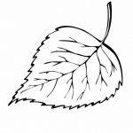 Free Printable Leaf Coloring Pages For Kids | ~*~ Coloring Pages   Free Printable Fall Leaves Coloring Pages
