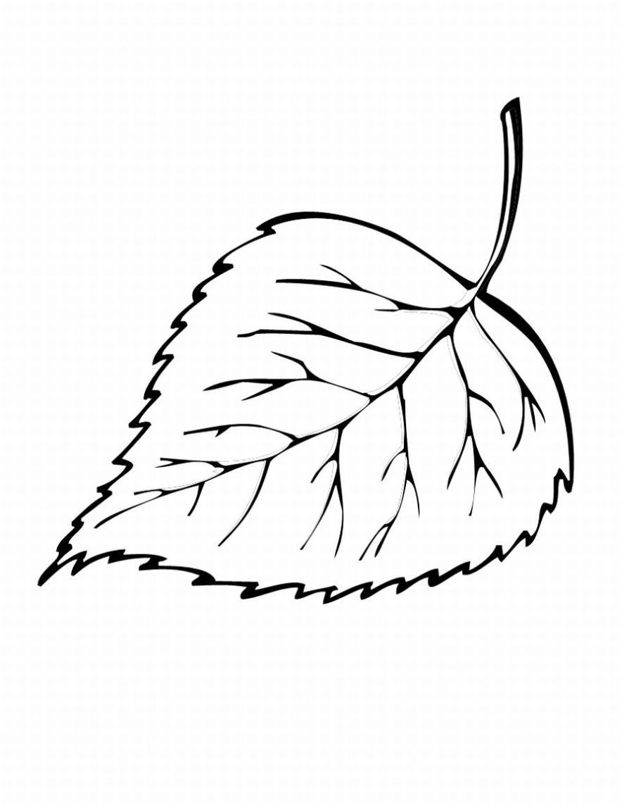 Free Printable Leaf Coloring Pages For Kids | ~*~ Coloring Pages - Free Printable Fall Leaves Coloring Pages