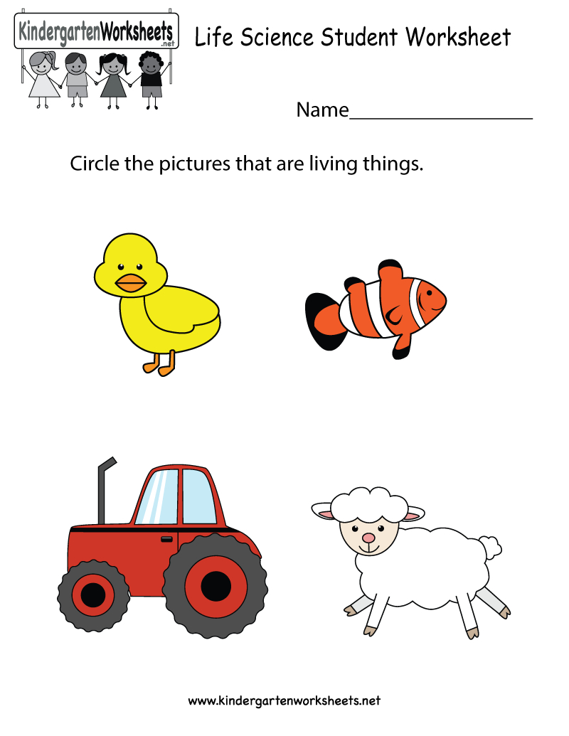 Free Printable Worksheets For Kids Science Free Printable