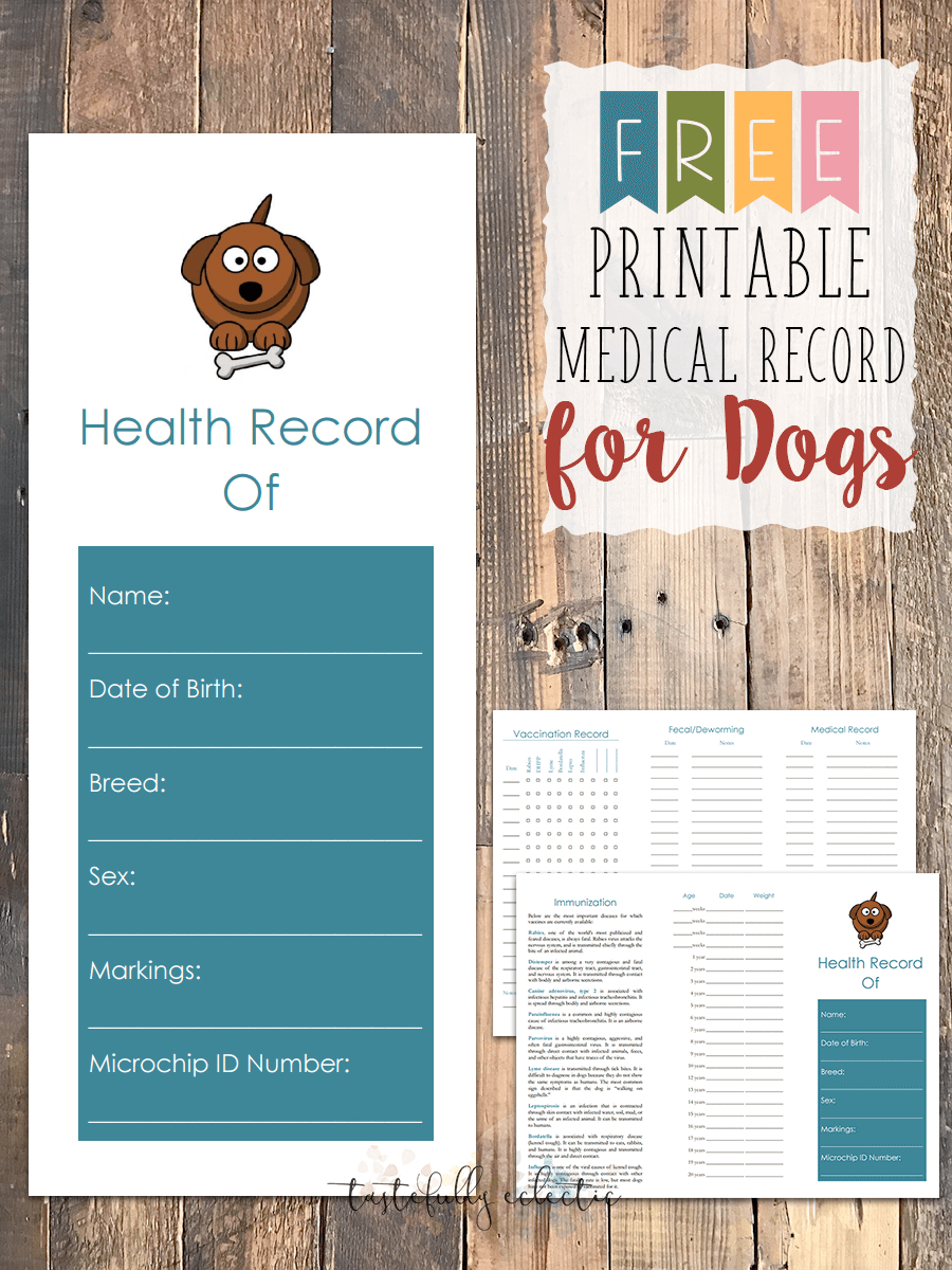 Puppy Records Template Immunization Record Card Dogs Dog Free 