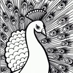 Free Printable Peacock Coloring Pages For Kids   Free Printable Peacock Pictures