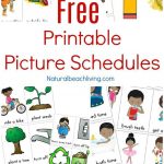 Free Printable Picture Schedule Cards   Visual Schedule Printables   Free Printable Visual Schedule For Preschool