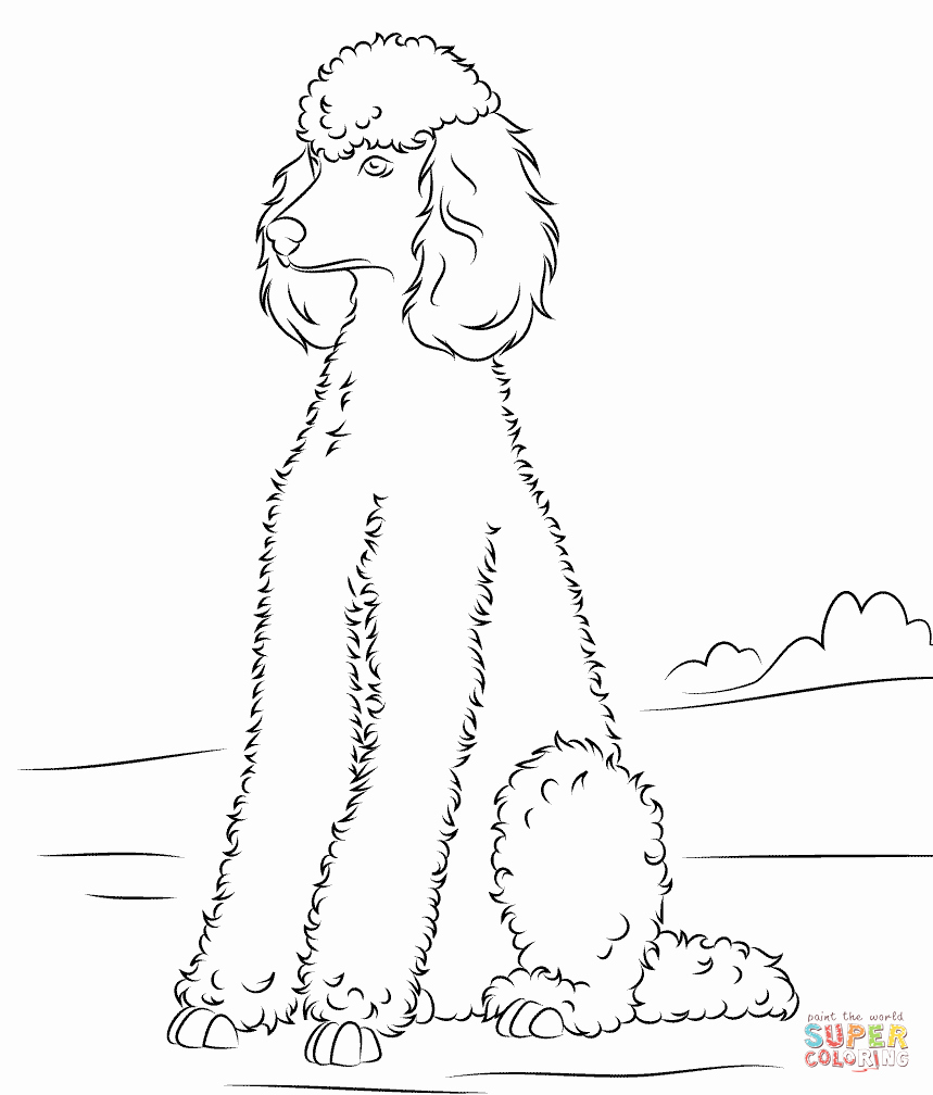 Free Printable Poodle Template – Rtrs.online - Free Printable Poodle Template