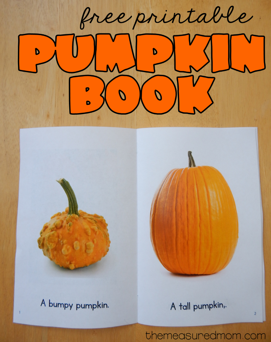 This Is Best Pumpkin Outline Printable 22930 Coloring Pages Of Free 
