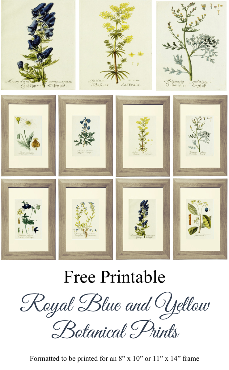 Free Printable Royal Blue And Yellow Botanical Art | Lg Limitless - Free Printable Artwork To Frame