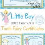 Free Printable Tooth Fairy Certificates | Parenting | Tooth Fairy   Free Printable Tooth Fairy Certificate