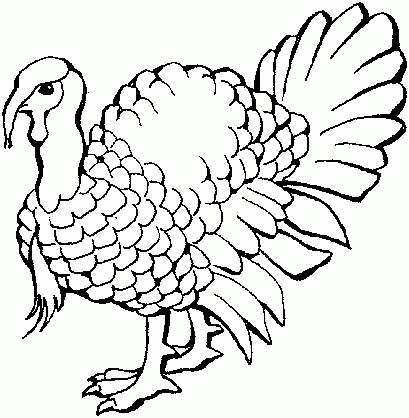 Free Printable Turkey Coloring Pages For Kids - Free Printable Pictures Of Turkeys To Color