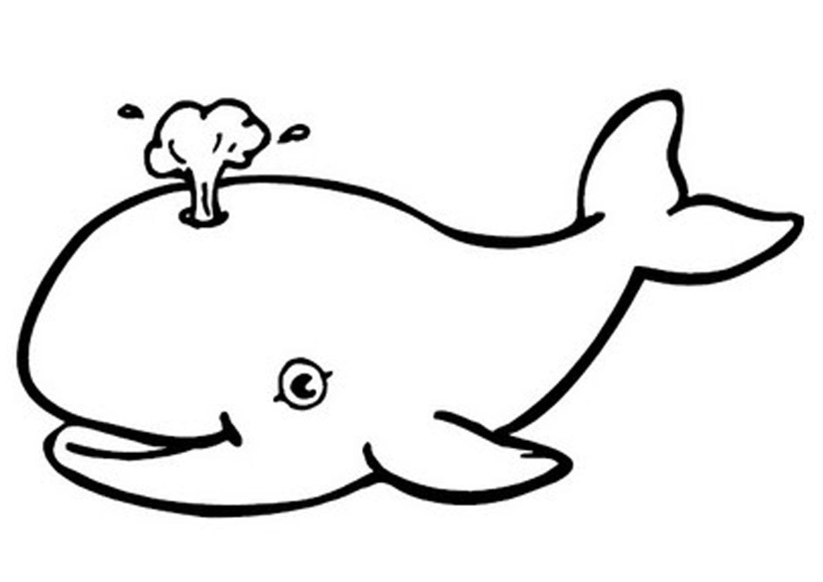 Free Printable Whale Coloring Pages For Kids | Ko | Whale Coloring - Free Printable Whale Template