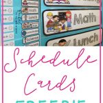 Freebie Schedule Cards | Classroom (When I Go Back :) | Preschool   Free Printable Classroom Labels With Pictures