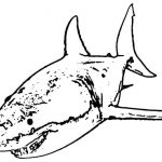 Great White Shark Coloring Pages   Downloadable And Printable Sheets   Free Printable Great White Shark Coloring Pages
