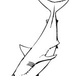Great White Shark Coloring Pages | Free Coloring Pages   Free Printable Great White Shark Coloring Pages
