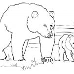 Grizzly Bear Family Coloring Page | Free Printable Coloring Pages   Polar Bear Printable Pictures Free
