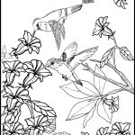 Hummingbirds And Flower Coloring Pages | Misc | Bird Coloring Pages   Free Printable Pictures Of Hummingbirds