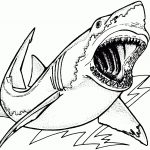 Images For > Realistic Sea Animal Coloring Pages Shark | Coloring   Free Printable Great White Shark Coloring Pages