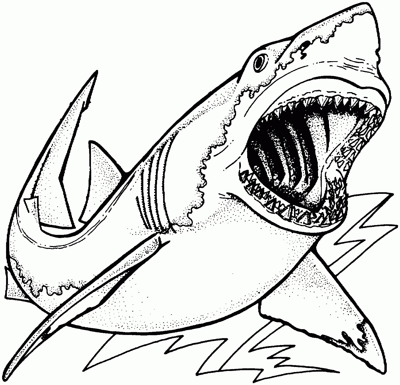 Images For &amp;gt; Realistic Sea Animal Coloring Pages Shark | Coloring - Free Printable Great White Shark Coloring Pages