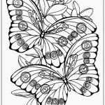 Inspirational Free Printable Spring Coloring Pages | Coloring Pages   Free Printable Spring Coloring Pages For Adults