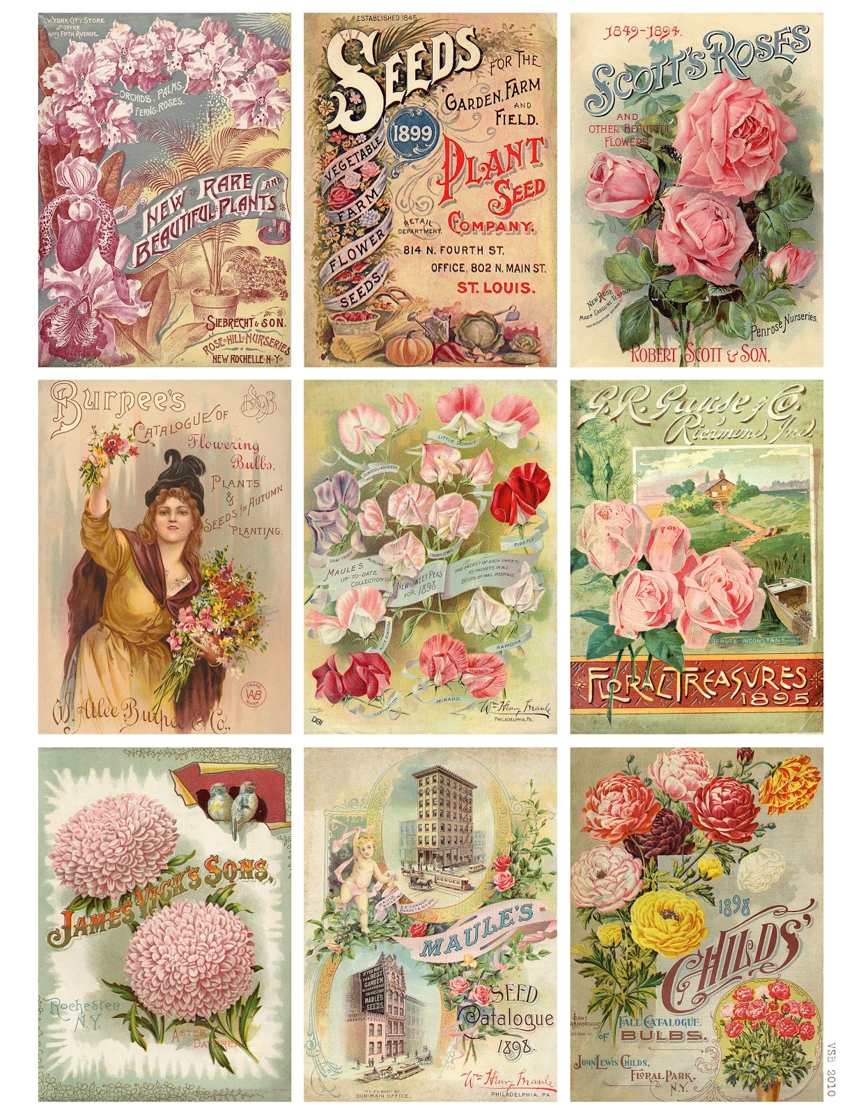Jodie Lee Designs: Free Printable Download! Vintage Seed Packet Cards! - Free Printable Vintage Pictures