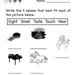 Kindergarten Five Senses Worksheet For Kids Printable | Worksheets   Free Printable Worksheets For Kids Science