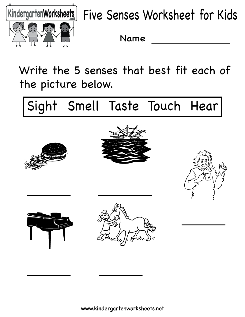 Kindergarten Five Senses Worksheet For Kids Printable | Worksheets - Free Printable Worksheets For Kids Science