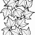 Leaf Coloring Page Cooloring Book Fall Leaves Coloring Sheet Free   Free Printable Leaf Coloring Pages