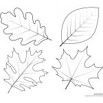 Leaf Templates   Kaza.psstech.co   Free Printable Oak Leaf Patterns