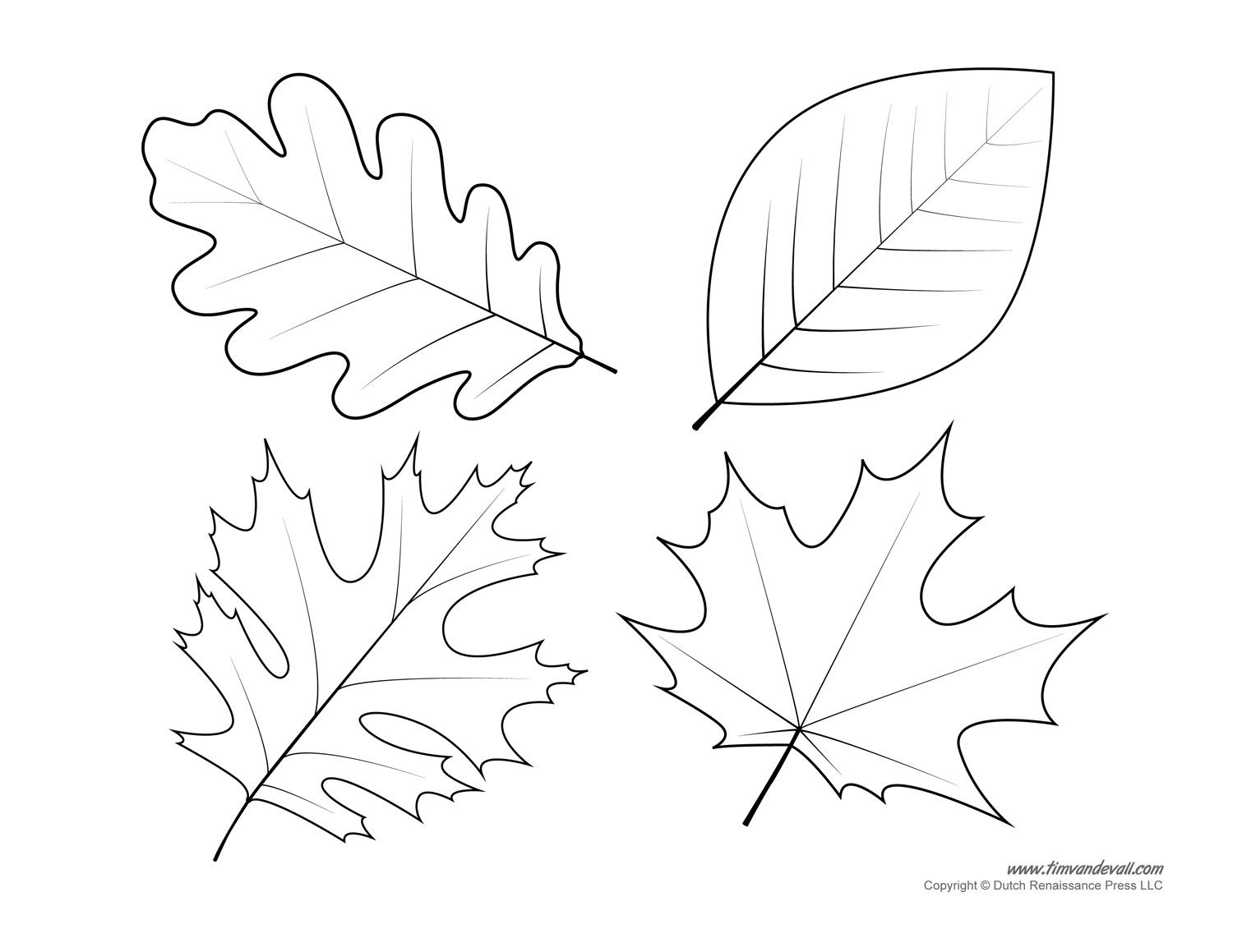 Leaf Templates & Leaf Coloring Pages For Kids | Leaf Printables - Free ...